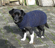 Noah aus Suceava, Pullover gestrickt von ritsch-ratsch.com