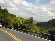 ArohaIsland-Auckland 270km