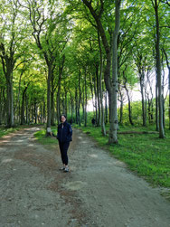 Kraftort Geisterwald, Ostsee