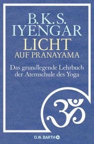 Vinyasa Yoga, Power Yoga Kurs, Yoga für Senioren, Yoga Ausbildungen, Yogalehrer Ausbildung. Yoga Ü50. Yogalehrer Ausbildung (Yoga Teacher Training), Meditationslehrer Ausbildung / Meditation Ausbildung in Zürich Oerlikon