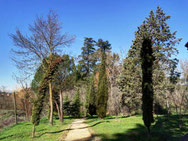 Parque El Forestal. Villaviciosa de Odón. Madrid.