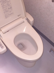 毎日使うトイレはきれいにしておきたいものですね。衛生的にきれいに保つことで運気も上昇　おすすめです。