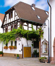 Weingut Paulushof in Venningen