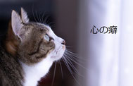 心の癖