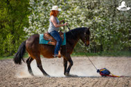 Gelassenheitstraining Pferd, Bodenarbeit, Bodenarbeitsseil, Agility Pferd, Bodenarbeit Kurs