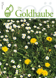 Ausgabe März 2025