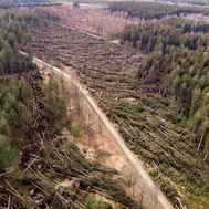 ©Max Nüssler, Feuerwehr Roetgen / Rott