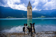 Wandern mit Hund in Südtirol beim Reschensee