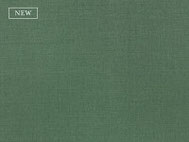 2494-527-linara-ivy