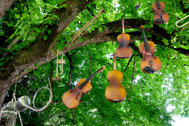 Musik liegt in der Luft von Susanne Fröhlich