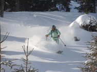 Freeride mit Bergführer, Freeridekurs, Geländefahren mit guide, geführte Tour, Off piste, backcountry skiing with certified mountainguide, Obertauern, Speiereck, Grosseck, Zauchensee, Lungau, Variantenfahren, guided tour, skiing, 