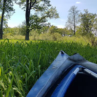 Canoeing in Les Landes, 10 minutes from Château Belle Epoque