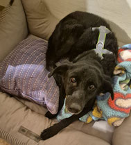 Fiona (11/24)