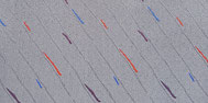 BMW Rain - 3 Colour Cecotto grau rot blau lila