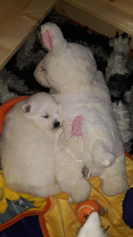 Chiana wiegt schon 950 Gramm