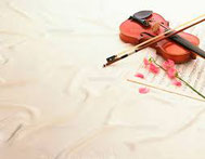 横浜市青葉区田園都市線青葉台バイオリン・ビオラ教室　豊かに奏でるために