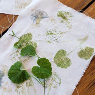 Les ânes de Madame - Balades accompagnées en Sologne, Val de Loire, châteaux de Chambord, Cheverny, Villesavin, du Moulin - Vacances nature en famille et entre amis