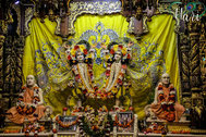 Iskcon KrisnaBaleram-temple Vrindavan Gauranitai