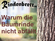 Baumrinde Jausenbrett