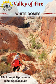 White Domes Wanderung im Valley of Fire.