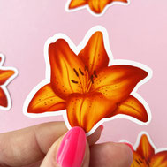 colorful orange lilly sticker