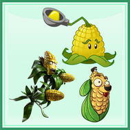 maïs [Plants vs Zombies]