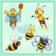 abeille