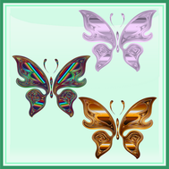 papillon