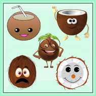 noix de coco
