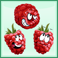 framboise