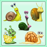 escargot