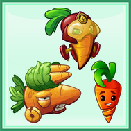 carotte [Plants vs Zombies]