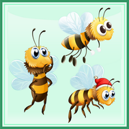 abeille