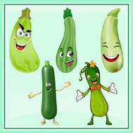 courgette