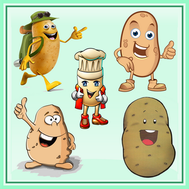 pomme de terre