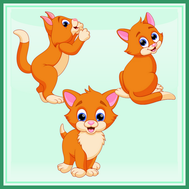 chat