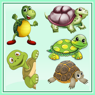 tortue terrestre