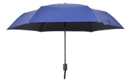 Cobalt Blue 267g