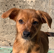 Leyla (03/23)