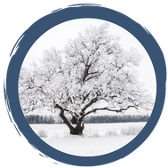 Überwinterungsstrategien der Pflanzen