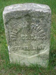 (click to enlarge) 