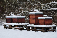 Winter am Bienenstand in Martinsried