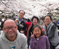 Cherry Blossom Party