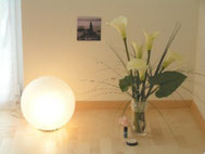 Craniosacrale Therapie Wettingen