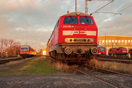 Großdiesellok 225 806 im Bahnbetriebswerk Braunschweig (C) Tobias Hartmann