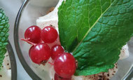 hausgemachte Desserts