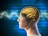 Module der Mentaltrainings bei Mentalmonster