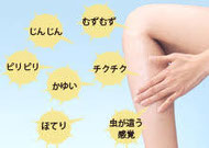 むずむず脚