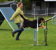 Jamie: 3 ASCA Wochenenden innerh. 2 Monaten: 2 x HIT Rally-O, mehrere X in Masters und Excellent, 2 legs UD, Agility RS-N GS-N