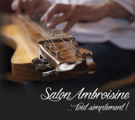 cd Tout simplement Salon Ambroisine musiques pour épinette chromatique répertoire de Wallonie